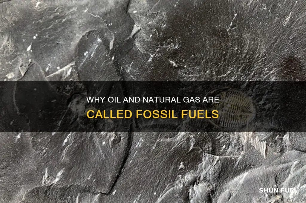 why are oil and natural gas called fossil fuels