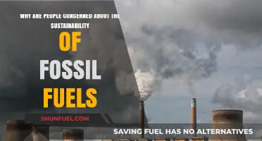 Fossil Fuels: Unsustainable Future?