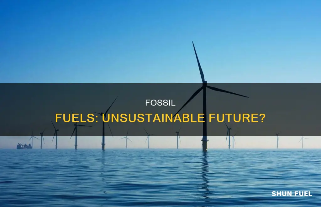 why are people concerned about the sustainability of fossil fuels