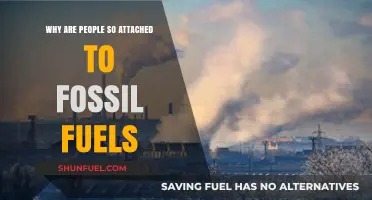 The Stubborn Grip: Why Humanity Clings to Fossil Fuels
