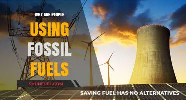 Why Fossil Fuels Remain Dominant in Today’s Energy Landscape