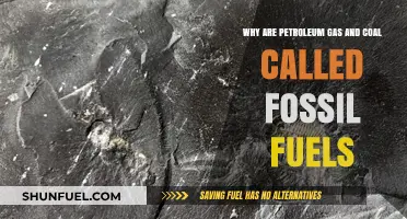 Why Petroleum, Gas, and Coal Are Called Fossil Fuels