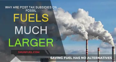 Fossil Fuel Subsidies: Post-Tax Benefits Examined