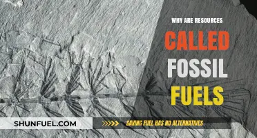 Why Are Resources Called Fossil Fuels? Uncovering the Ancient Origins