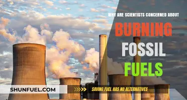 Burning Fossil Fuels: Scientists' Growing Concerns and Environmental Impact