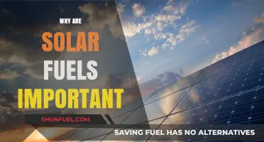 Harnessing the Power of Solar Fuels: A Sustainable Future