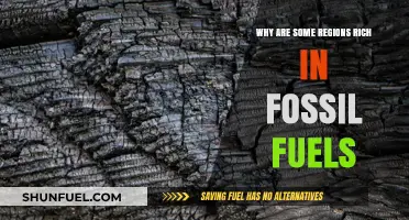 Geological Secrets: Why Some Regions Abound in Fossil Fuels