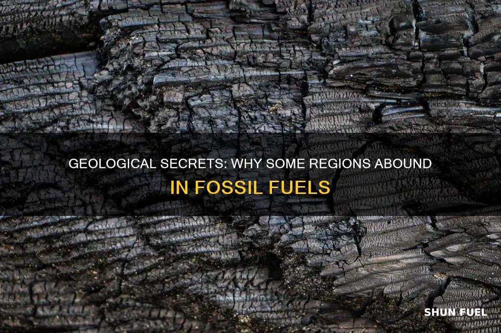 why are some regions rich in fossil fuels