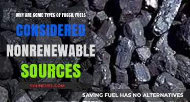 Fossil Fuels: Why Some Types Are Nonrenewable Energy Sources