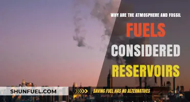 Atmosphere and Fossil Fuels: Understanding Their Role as Reservoirs