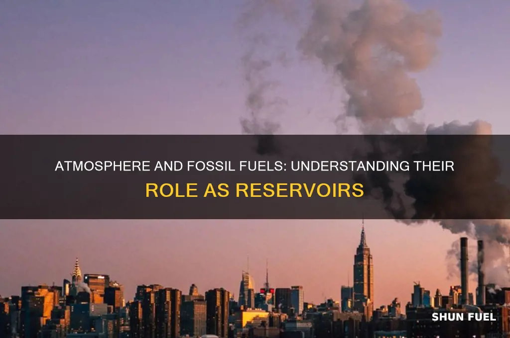 why are the atmosphere and fossil fuels considered reservoirs