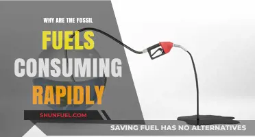 Rapid Fossil Fuel Depletion: Causes, Consequences, and Urgent Solutions