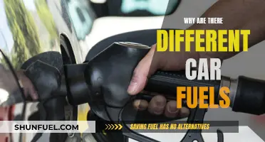 Exploring the World of Car Fuels: Why Diversity Matters