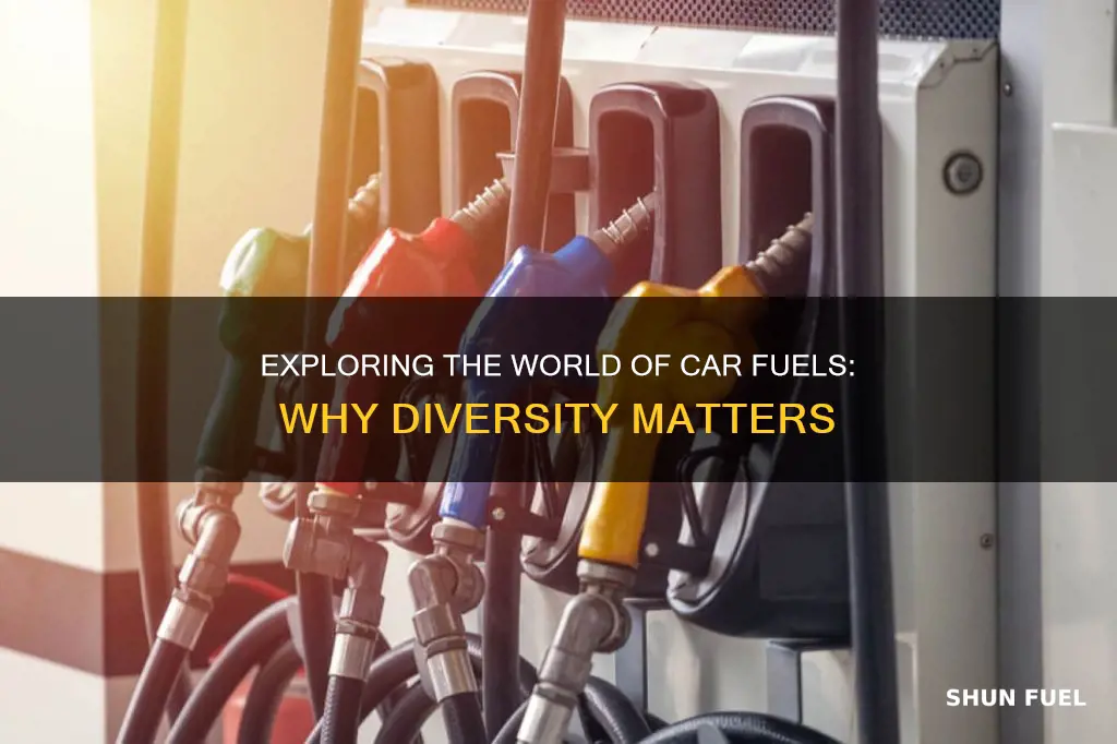 why are there different car fuels