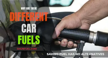 The Evolution of Car Fuels: Why Multiple Options Exist