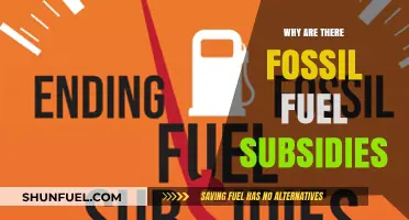 Why Governments Still Subsidize Fossil Fuels: Uncovering the Hidden Reasons