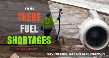 Exploring the Root Causes of Fuel Shortages: A Comprehensive Analysis