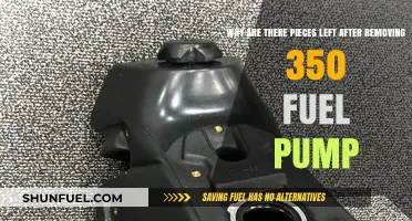 Understanding Leftover Pieces After Removing a 350 Fuel Pump