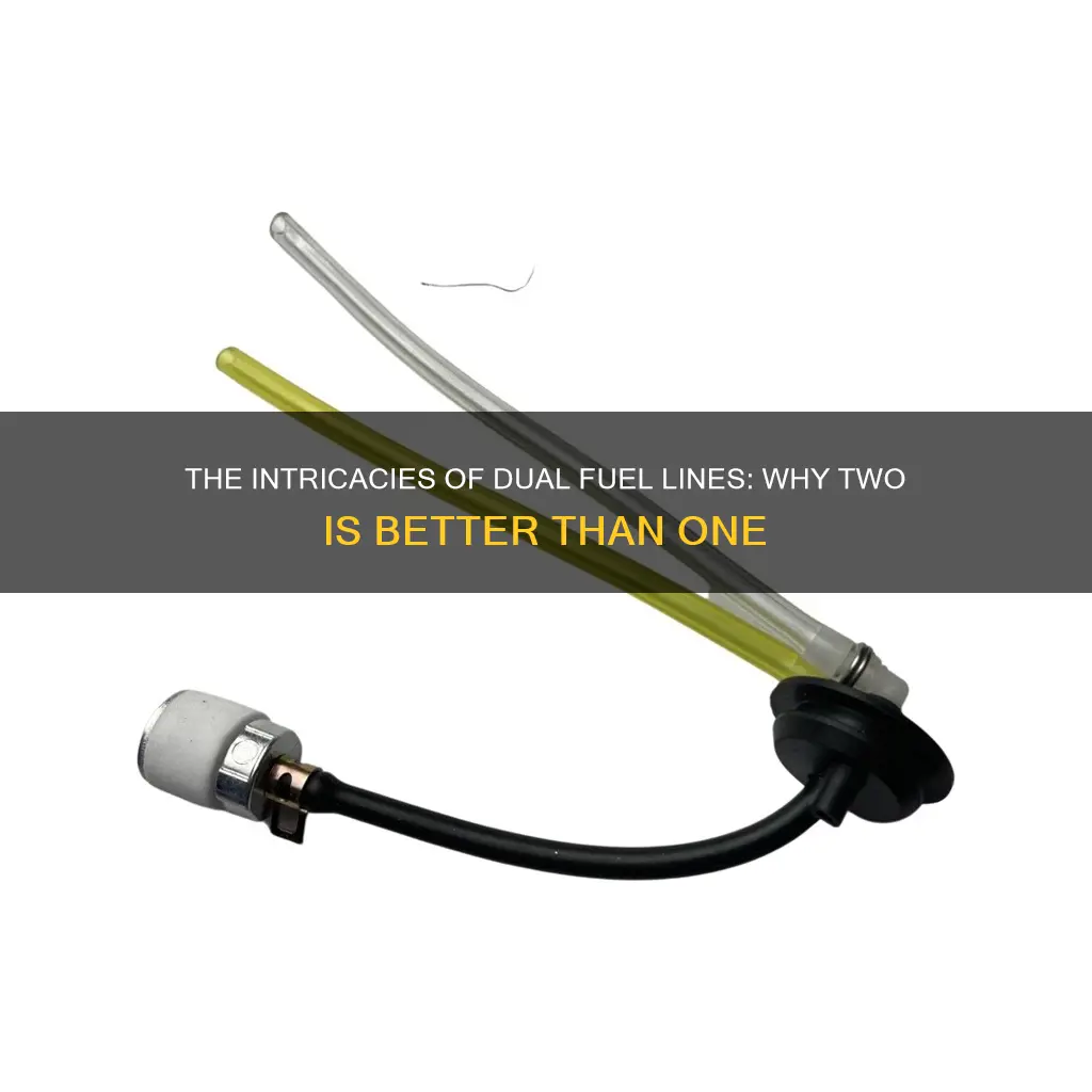 why are there two fuel lines