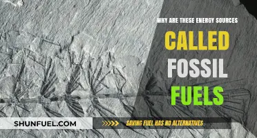 Why Fossil Fuels: Unveiling the Origins of Ancient Energy Sources