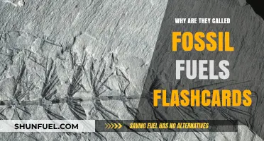 Why Are They Called Fossil Fuels? Uncover the Origins with Flashcards