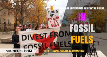 Universities' Fossil Fuel Investments: Hesitant Divestment Despite Climate Concerns
