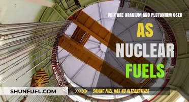 Uranium and Plutonium: The Science Behind Nuclear Fuel Choices