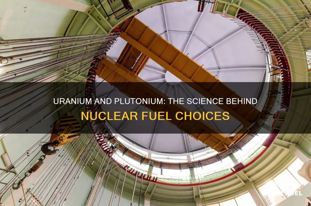 why are uranium and plutonium used as nuclear fuels