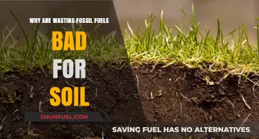 Fossil Fuel Waste: Harmful Effects on Soil Health and Sustainability