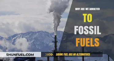 Breaking the Cycle: Understanding Our Fossil Fuel Addiction and Alternatives