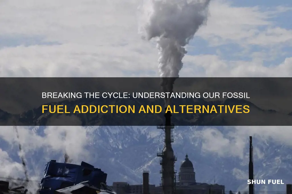 why are we addicted to fossil fuels