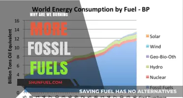 Escalating Fossil Fuel Dependence: Causes and Consequences of Rising Consumption