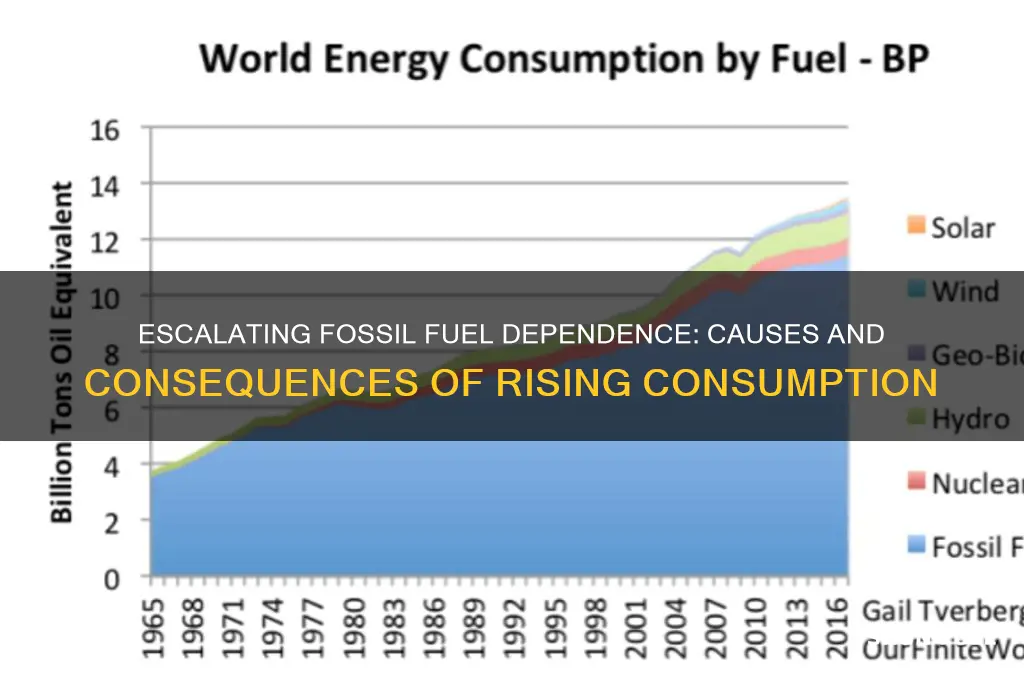 why are we burning more fossil fuels