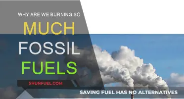 The Fossil Fuel Frenzy: Why We're Burning Our Future