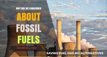 Fossil Fuels: Why Their Impact on Our Planet Alarms Us