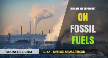 The Persistent Reliance on Fossil Fuels: Causes and Consequences
