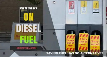 The Diesel Crisis: Why Are We Low on Fuel?
