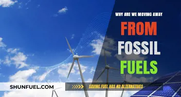 Shifting Energy: The Urgent Transition from Fossil Fuels to Renewables