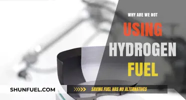 Hydrogen Fuel: The Untapped Potential and Barriers to Adoption