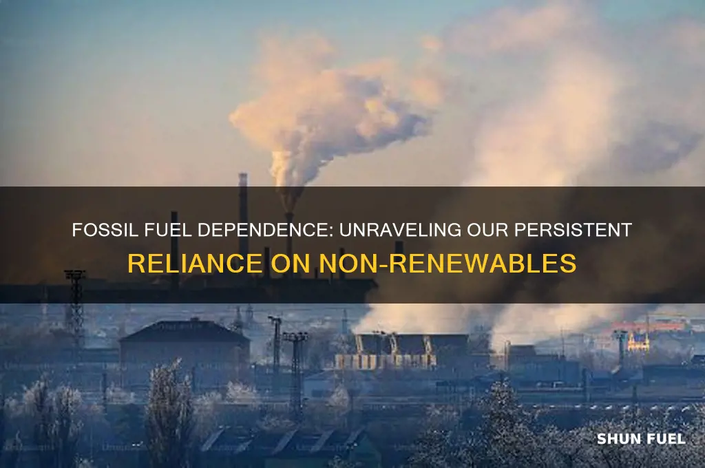 why are we so reliant on fossil fuels