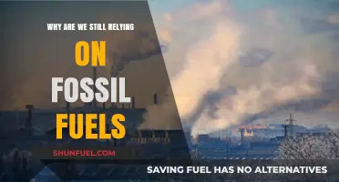 Fossil Fuels' Persistent Grip: Why Haven't We Transitioned Yet?