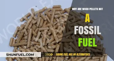 Wood Pellets vs. Fossil Fuels: Understanding the Renewable Difference