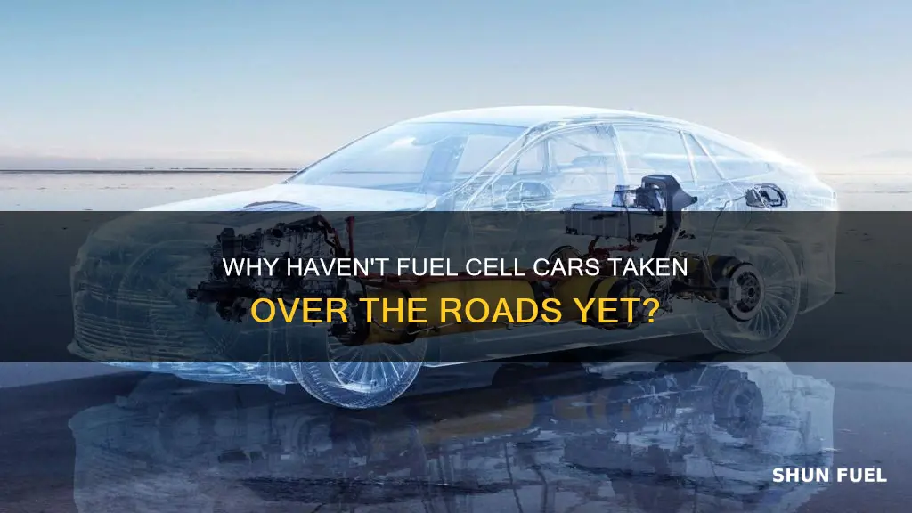 why arent there more fuel cell cars on the road