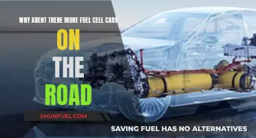 The Road Ahead: Fuel Cell Cars' Slow Journey