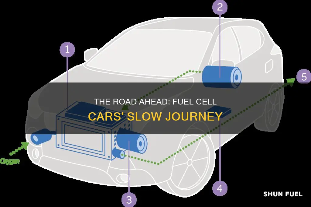 why arent there more fuel cell cars on the road