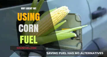 Why Corn Fuel Isn’t Powering Our Future: Uncovering the Barriers