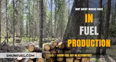 Why Forests Remain Untapped: The Case Against Wood-Based Fuel