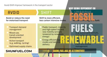 Breaking Free: Why Fossil Fuel Dependency Hinders Renewable Energy Progress