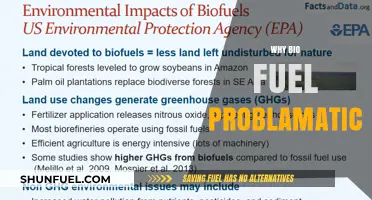 The Hidden Costs of Biofuels: An Environmental Dilemma