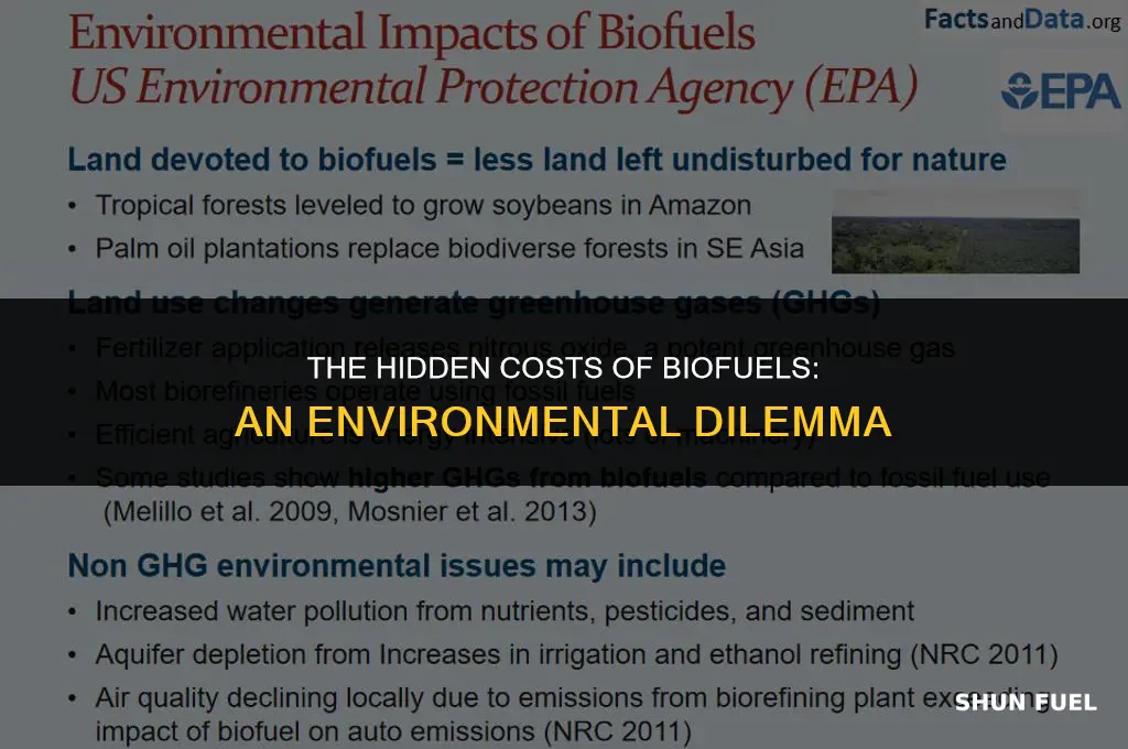 why bio fuel problamatic